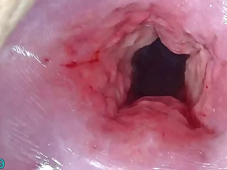 545 kinky porn videos